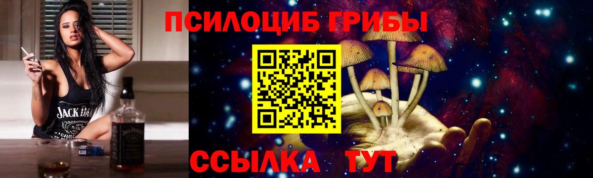 Галлюциногенные грибы Psilocybine cubensis Вышний Волочёк
